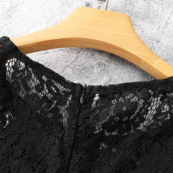 Lace Jersey - Picture 4 of 5